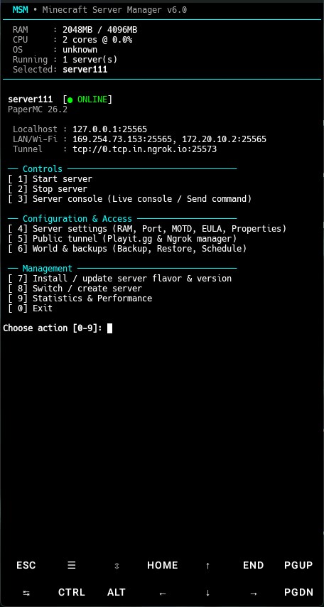 Terminal-Native Management CLI